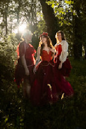 The Faewood Mini Dress The Faewood Mini Dress